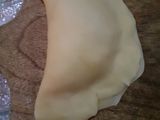 Pastel isi sayuran,soun,telor