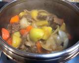 Japanese Beef Potato with Curry Powder recipe step 4 photo