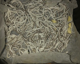 Foto del paso 5 de la receta: Calabacín y gulas en airfryer