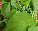 Foto langkah ke 1 dari resep Sayur Bayam Kuah.