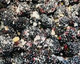 A picture of step 5 of Quick Blackberry Cobbler.