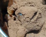 A picture of step 5 of Chocolate Hummus.