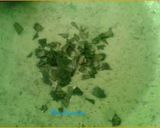A picture of step 3 of Paan coconut ladoo.