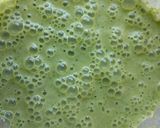 Foto del paso 7 de la receta: Licuado verde con kale 🌿 2