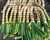 Foto del paso 1 de la receta: Calçots a la brasa 🔥🔥🔥 🟨🟥🟨🟥🟨🟥🟨🟥🟨