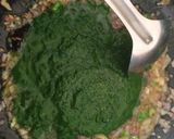 A picture of step 4 of Paneer in Green curry (methi chaman).