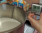 Foto del passaggio 3 della ricetta Cacioricotta lucano-pugliese
