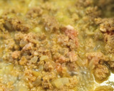 Foto del paso 4 de la receta: Pasta casera sin huevo