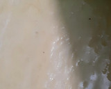 Foto del paso 7 de la receta: Roles de canela