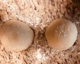 Foto del paso 5 de la receta: Pizza Casera de masa tierna