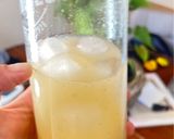 Foto del paso 3 de la receta: Zumo natural de semillas de melón y menta