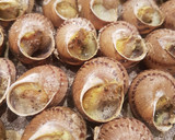 Foto del paso 3 de la receta: Caracoles a la llauna hechos al horno