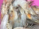 Tumis udang bening