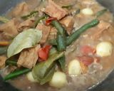Foto langkah ke 4 dari resep Ace Cabe Hijau (tanpa santan).