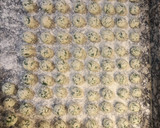 Foto del paso 8 de la receta: Malfatti con Salsa de Tomate Casera y Hamburguesa