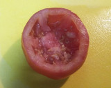 Foto del paso 2 de la receta: Tomate gratinado