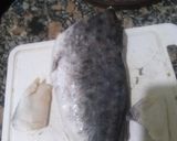Foto del paso 5 de la receta: Bagre de Río despinado a la plancha