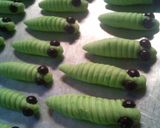 Foto langkah ke 4 dari resep Caterpillars cookies / kue ulat.