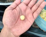 Foto langkah ke 3 dari resep Telor gabus keju.