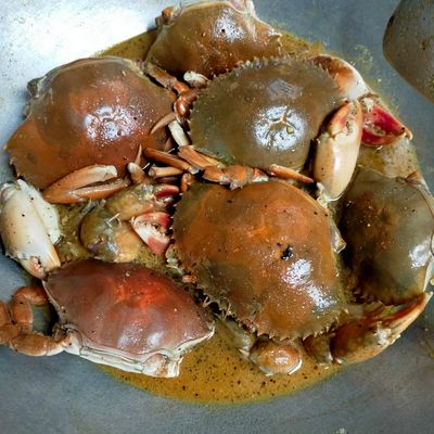 Langkah 5