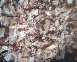 A picture of step 3 of Horse gram masala.