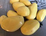 Une image de l'étape 2 de Gratin de pommes de terre façon dauphinoise à l'ail confit et deux fromages.