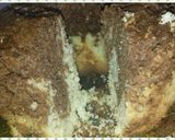 Foto del paso 5 de la receta: Torta marmolada fácil🍃