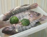 Foto langkah ke 1 dari resep Fillet Ikan Nilla Saos Tiram.