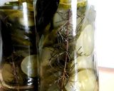 Foto del paso 5 de la receta: Pepinos en conserva