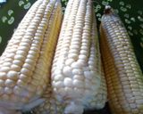 Foto langkah ke 1 dari resep Bakwan/pelas jagung daun jeruk.
