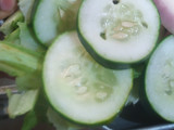 Cucumber salad