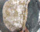 A picture of step 5 of Bathua Laccha Paratha.