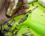 कुरकुरे अरबी चिप्स (Kurkure Arbi Chips recipe in Hindi) रेसिपी चरण 1 फोटो