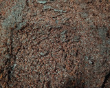 Foto del paso 5 de la receta: Bizcocho de chocolate
