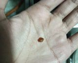 A picture of step 26 of Gatte Ki Sabzi.