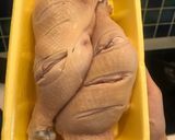 Hình bước làm 1 của món Gà nướng mắm nhĩ