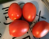Une image de l'étape 5 de Salade de concombre aux tomates,céleri branche et radis ronds.