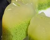 Moss Jelly (Agar Lumut) recipe step 4 photo