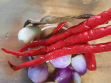 Tempe orek mix kacang panjang bumbu iris