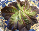 Foto del paso 1 de la receta: Fuente de otoño