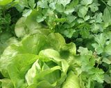 Hình bước làm 1 của món Salad rau củ quả