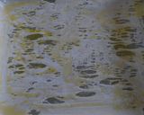 Foto del passaggio 20 della ricetta Schiacciata di peperoni rossi