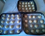 Foto del passaggio 8 della ricetta Biscotti di San Martino con ripieno di crema di ricotta