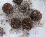A picture of step 2 of Nuts chocolate nariyal ladoo.