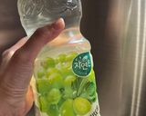 提子益力多特飲的食譜步驟1照片