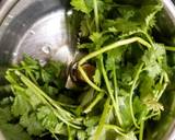 Green Chutney/ Coriander Mint Chutney recipe step 1 photo