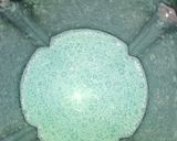 A picture of step 1 of Turquoise Tango.