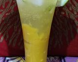 A picture of step 4 of Mango Mule.