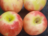 Budín light de manzana 🍎