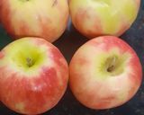 Foto del paso 4 de la receta: Budín light de manzana 🍎